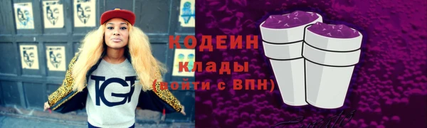 спиды Арсеньев